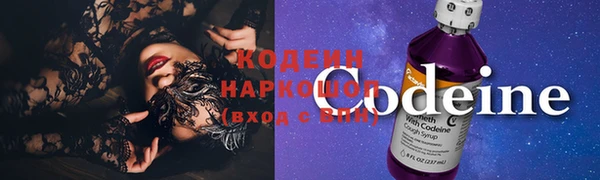 ГАЛЛЮЦИНОГЕННЫЕ ГРИБЫ Балабаново